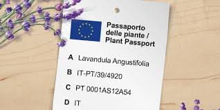 nuovo-passaporto-piante